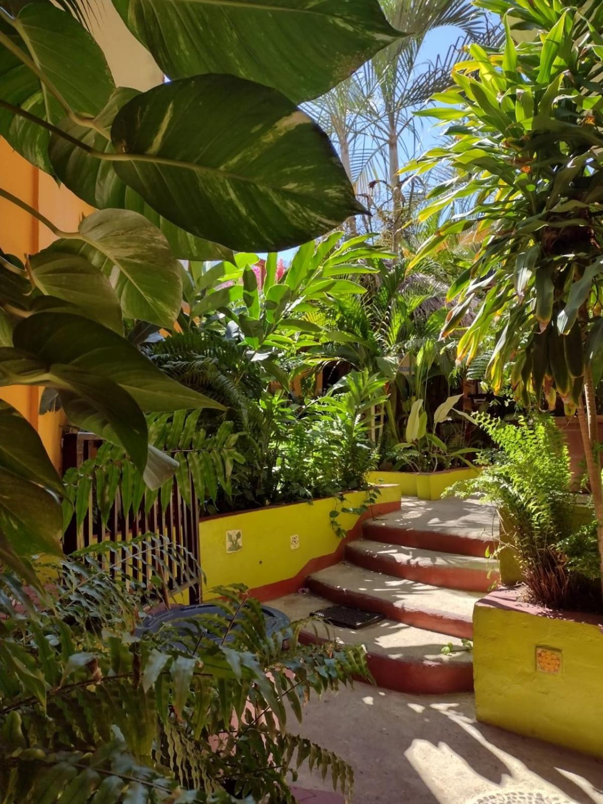 Hotel La Cabana Пуэрто-Анхель Экстерьер фото